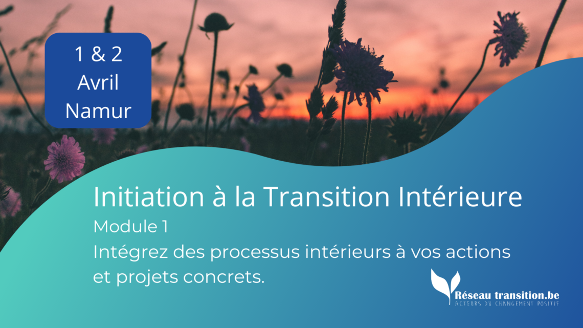 Formation du Réseau Transition : Initiation à la Transition Intérieure – Module 1